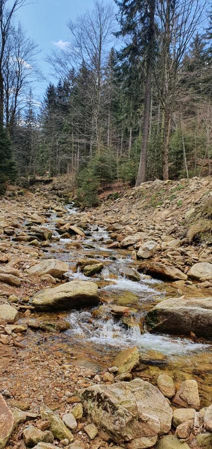 Apartizer Swieradow Zdroj Pobiedna Dış mekan fotoğraf